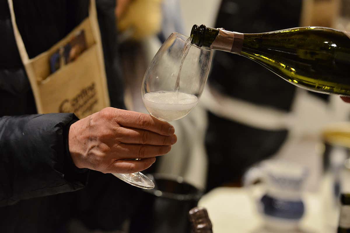 Al tour enogastronomico si aggiungono percorsi guidati. Foto Paolo Rey A Cogne a caccia di Cantine gourmet Al tour enogastronomico si aggiungono percorsi guidati. Foto Paolo Rey A Cogne a caccia di Cantine gourmet