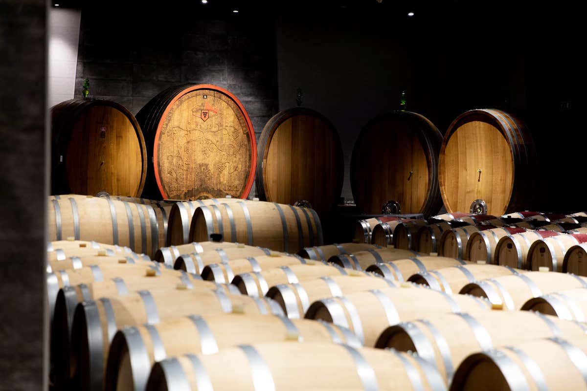 Stupire gli ospiti a tavola &egrave; sempre una sfida e per garantire il massimo dell&rsquo;emozione: a un grande piatto va abbinato un grande vino Tartare di manzo e Marzemino Musivum accoppiata top