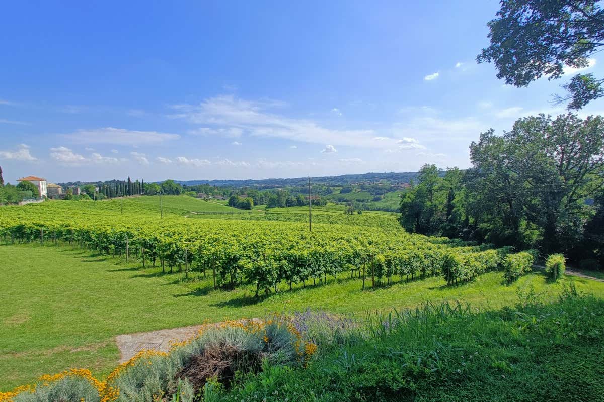 Le mille interpretazioni del Prosecco Bellenda dei fratelli Cosmo Le mille interpretazioni del Prosecco Bellenda dei fratelli Cosmo
