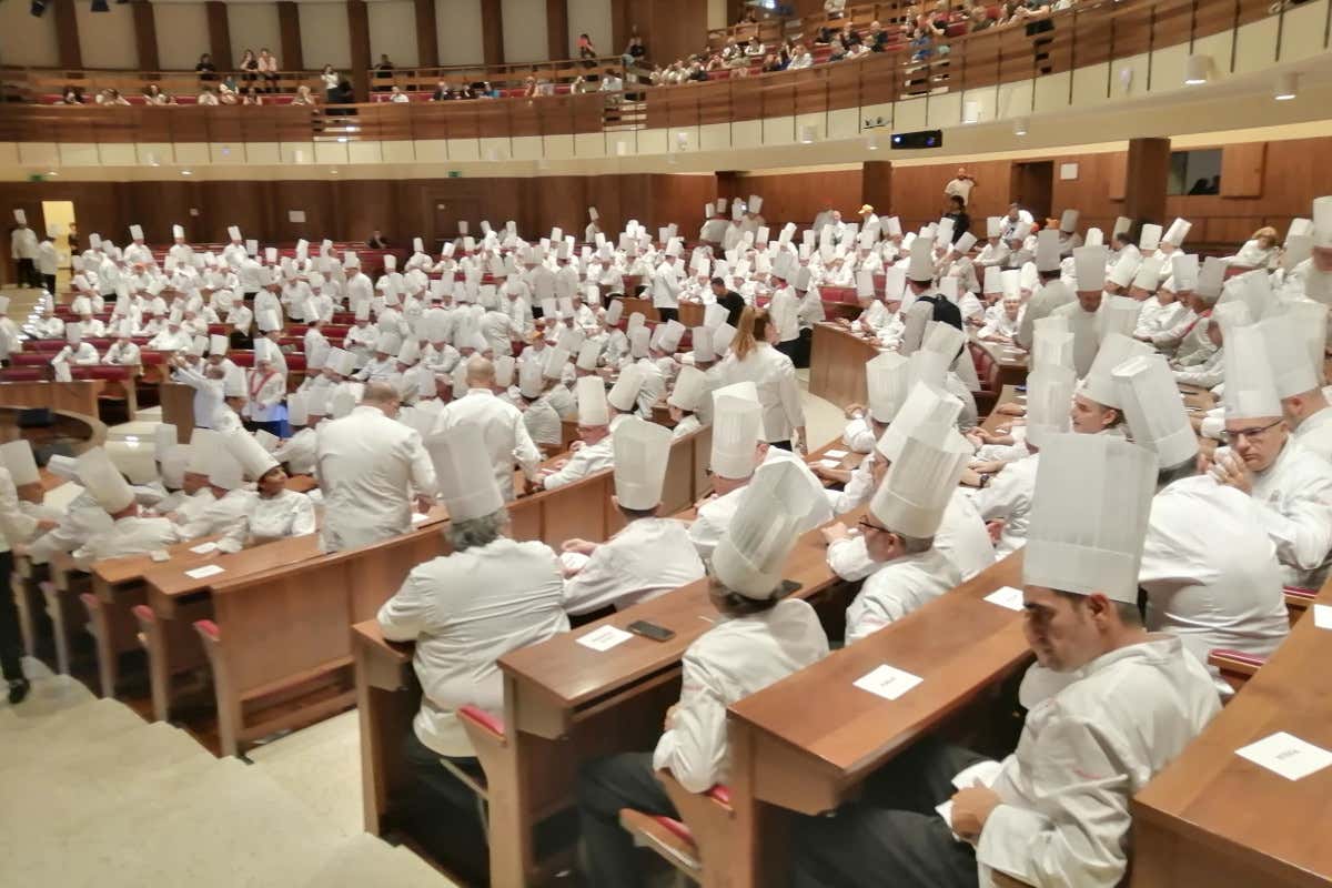 A 350 chef i collari Collegium Cocorum di Federcuochi A 350 chef i collari Collegium Cocorum di Federcuochi