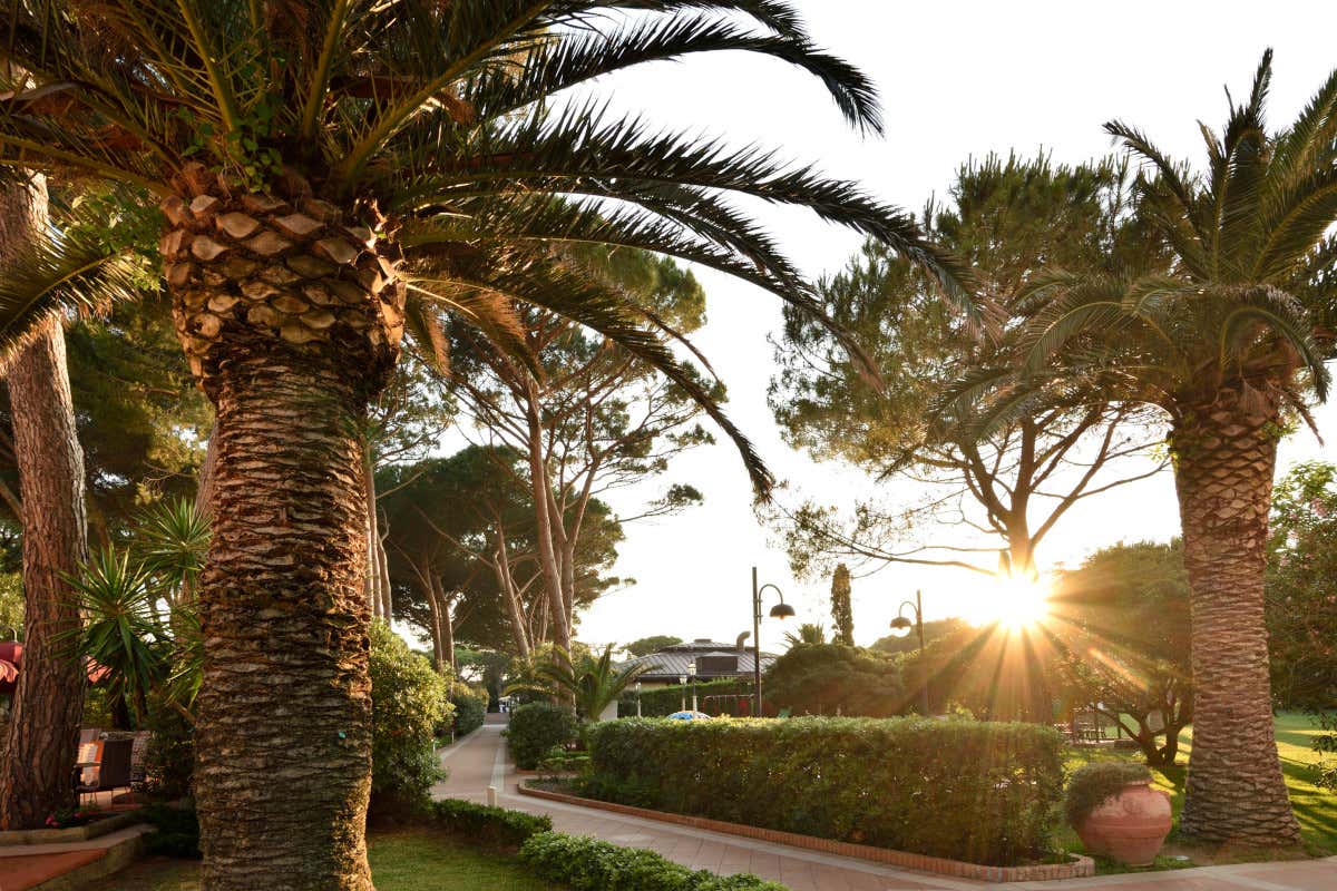 Primavera in Costa degli Etruschi? C'è l'offerta del Park Hotel Marinetta