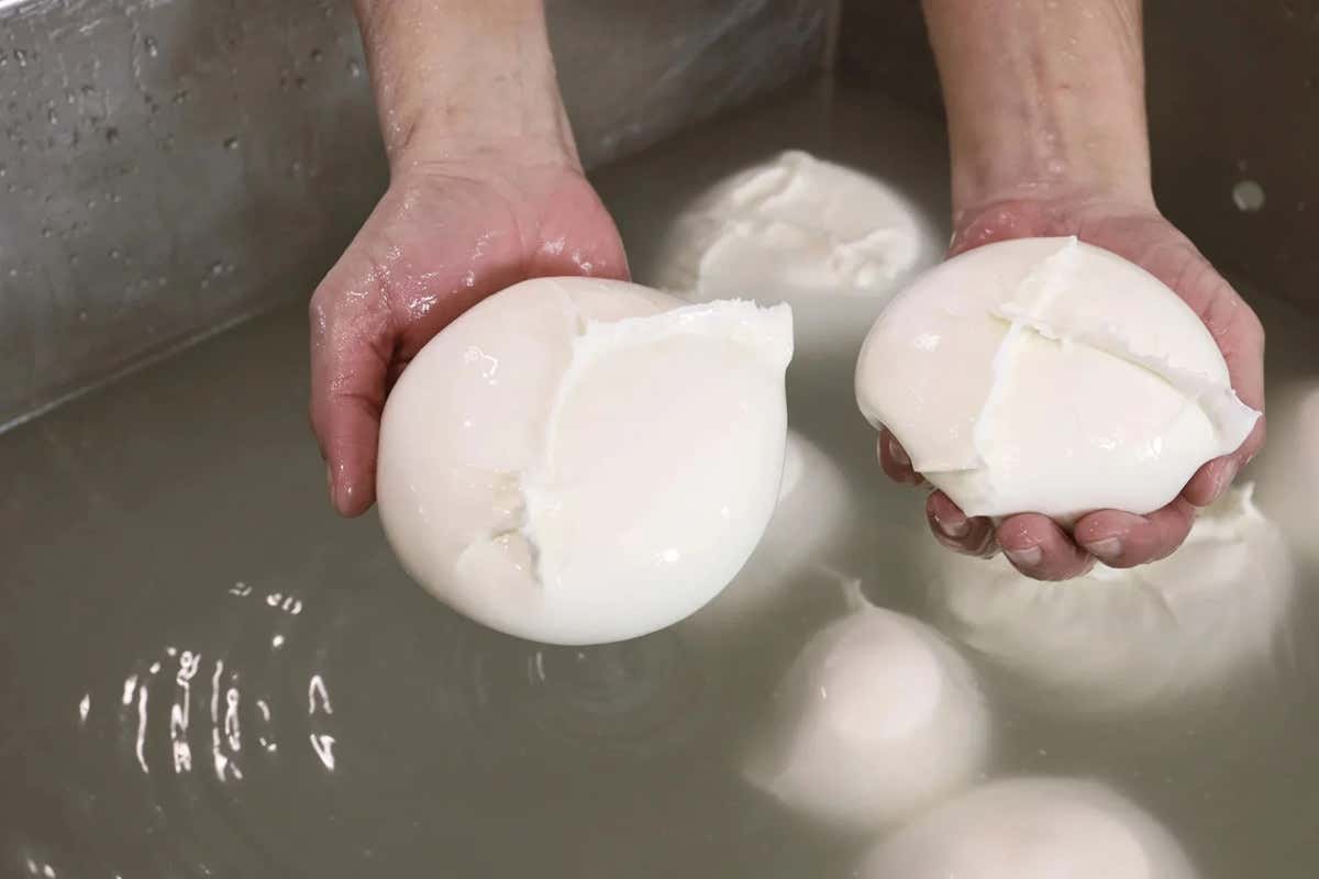 Vere massaie cilentane nella cucina de “La Dispensa San Salvatore” a Paestum