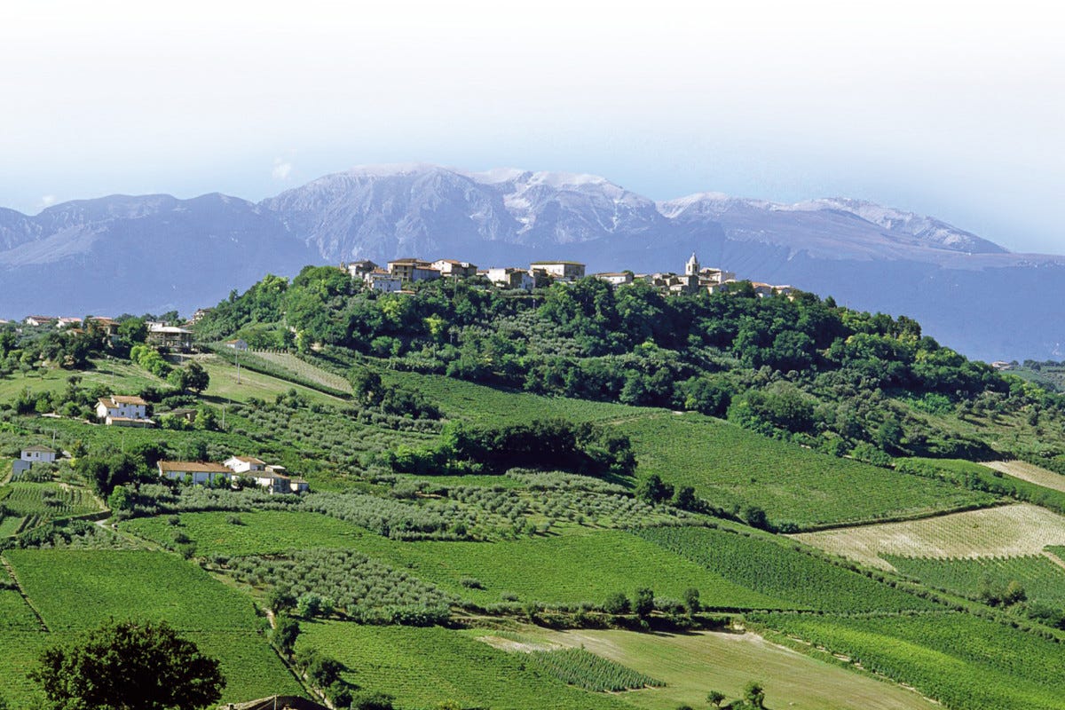 Un microterritorio: solo 85 ettari di terreni  Villamagna Doc il vino abruzzese di nicchia che nasce tra montagna e mare