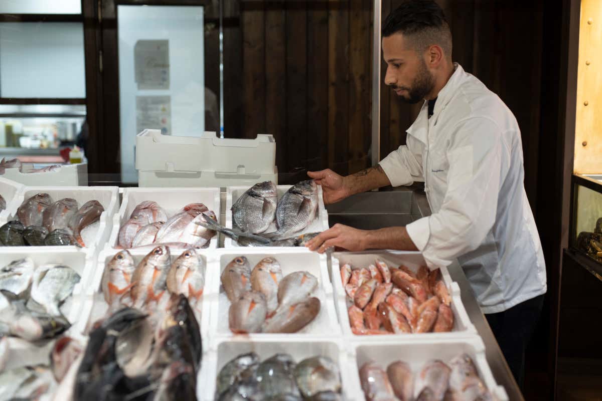 Se Milano avesse il mare: ecco cosa si mangia da Assunta Madre