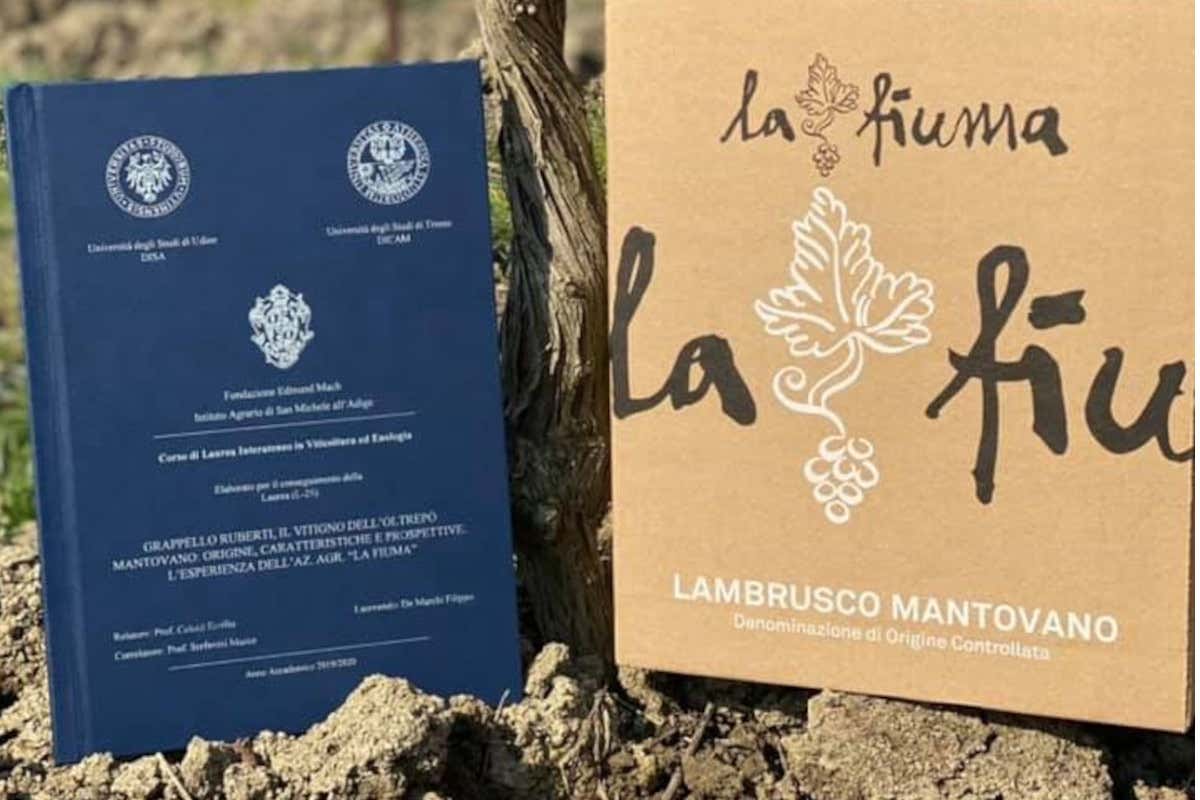 La Fiuma il Lambrusco mantovano che insegna a rilanciare i vitigni autoctoni
