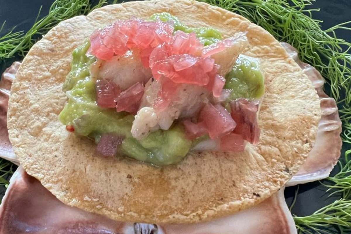 Levante una nuova esperienza di gusto in Franciacorta