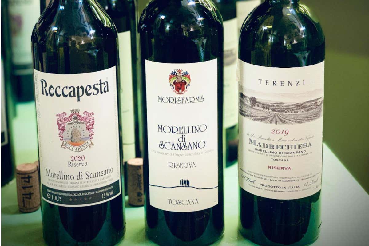 La prova d’assaggio dei 10 Morellino del Cuore 2023