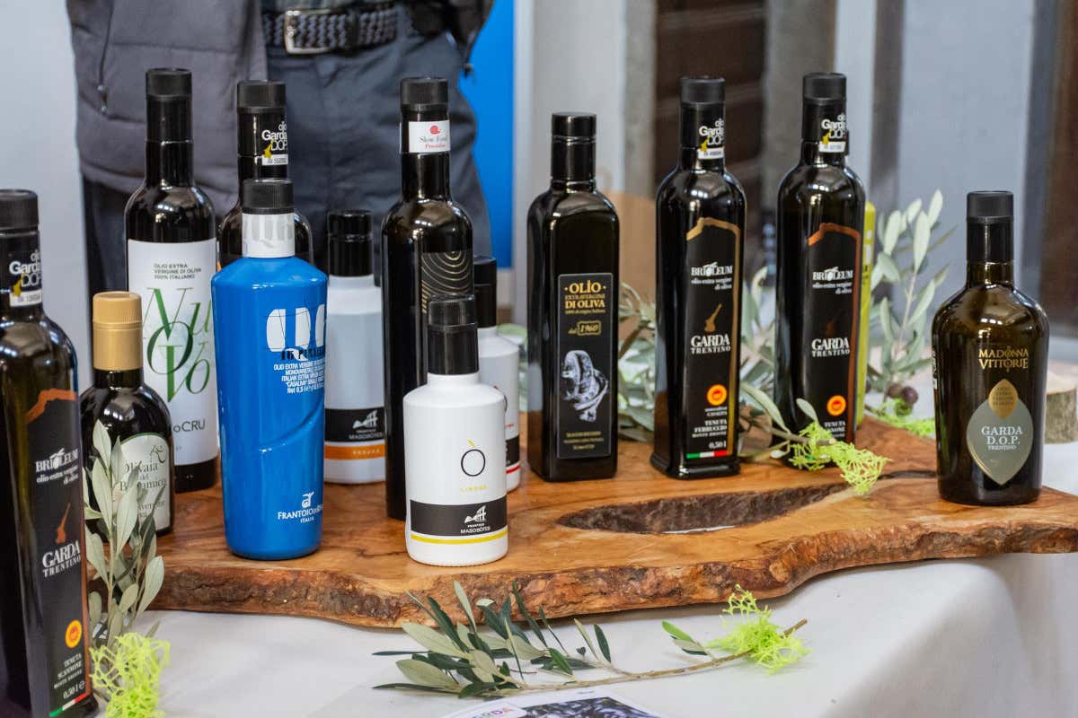 I sette frantoi del Garda trentino aprono le porte ai buongustai