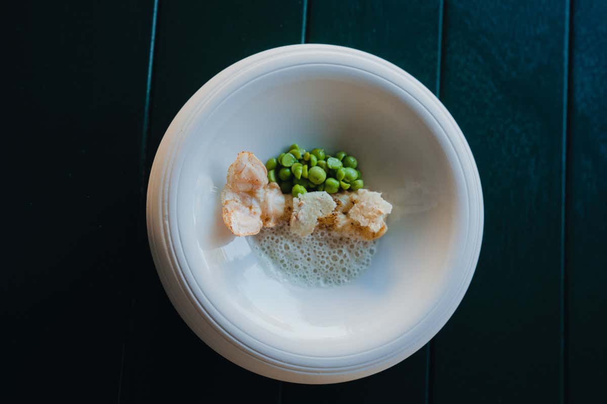 Scampo, piselli e mandorle La Liguria nel piatto secondo Davide Galbiati nuovo executive chef del DaV Mare