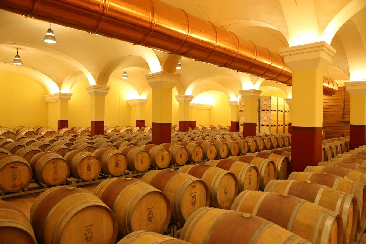 Il Pollenza, il bordolese di Aldo Brachetti Peretti, raccontato in sette annate 