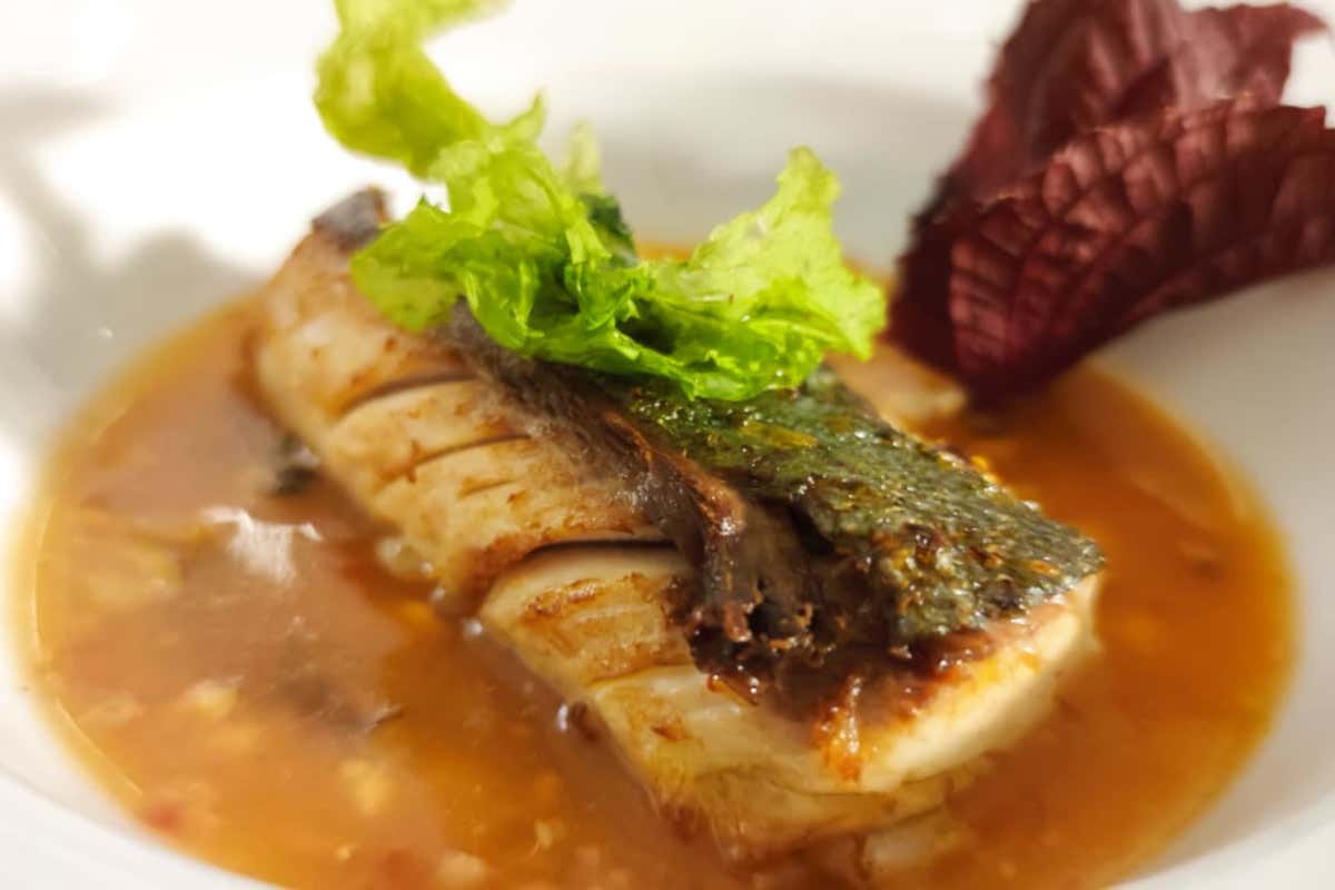 Il vino rosso con il pesce? La sfida vinta dal Lambrusco in Puglia