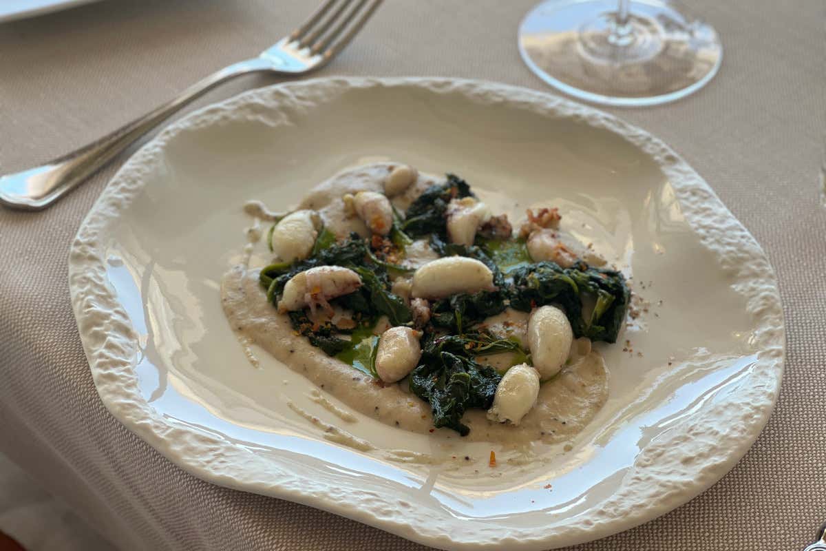 Altro che città-fabbrica: a Follonica tra mare e cucina gourmet