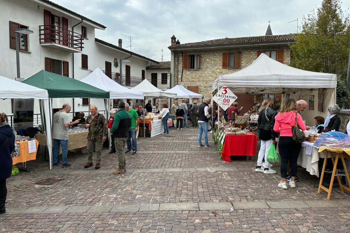 In Alta Val Tidone alla scoperta del tartufo 