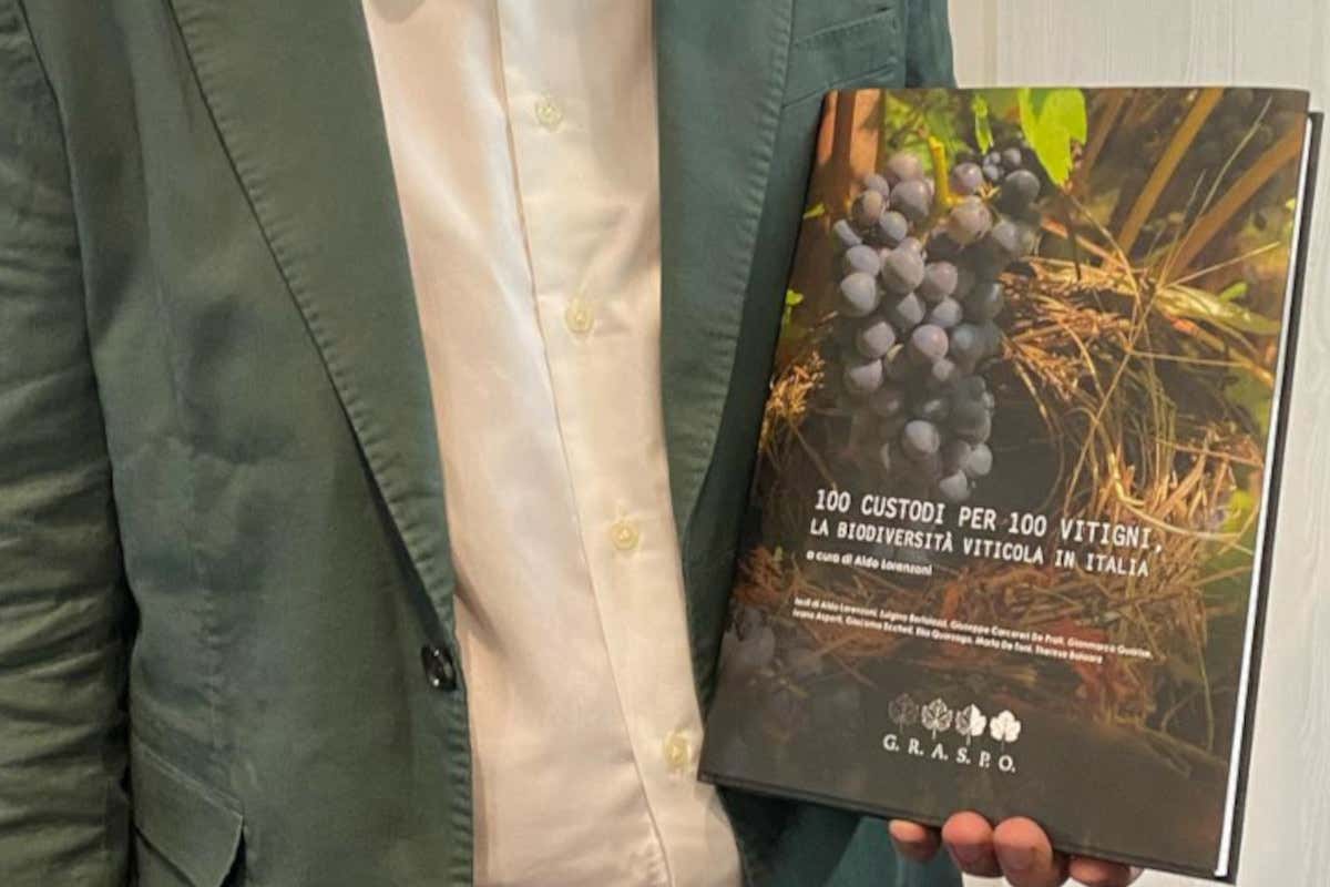 Vitigni a rischio d'estinzione in Italia: ecco perché custodirli e chi lo fa già
