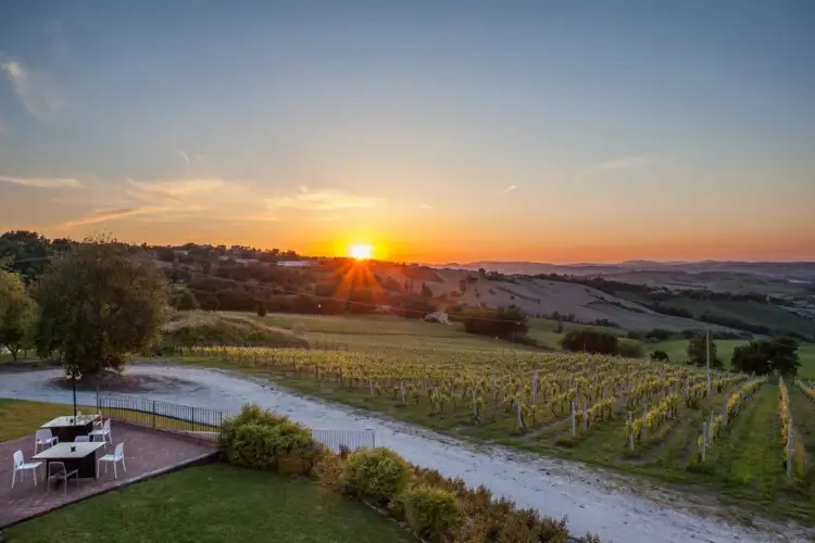 Vista Le Busche Moncaro Moncaro, il buon vino delle Marche in uno scrigno