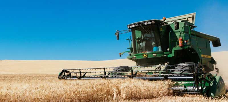 Via alla filosofia di un'agricoltura 4.0 - Pandittaino, ecco il grano tenero Doppia filiera autosufficiente