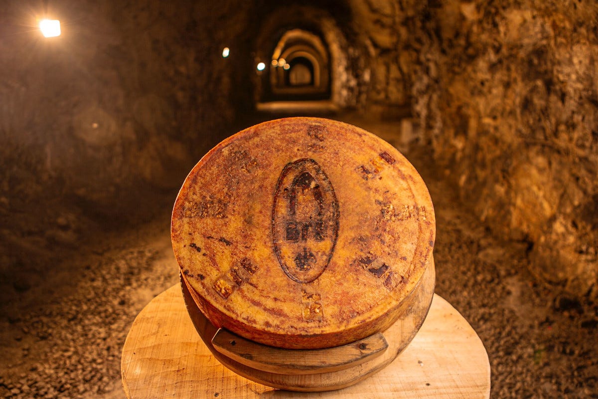 Miglior Formaggio di montagna - Bré Italian Cheese Awards, il pecorino Gregoriano è il formaggio dell’anno