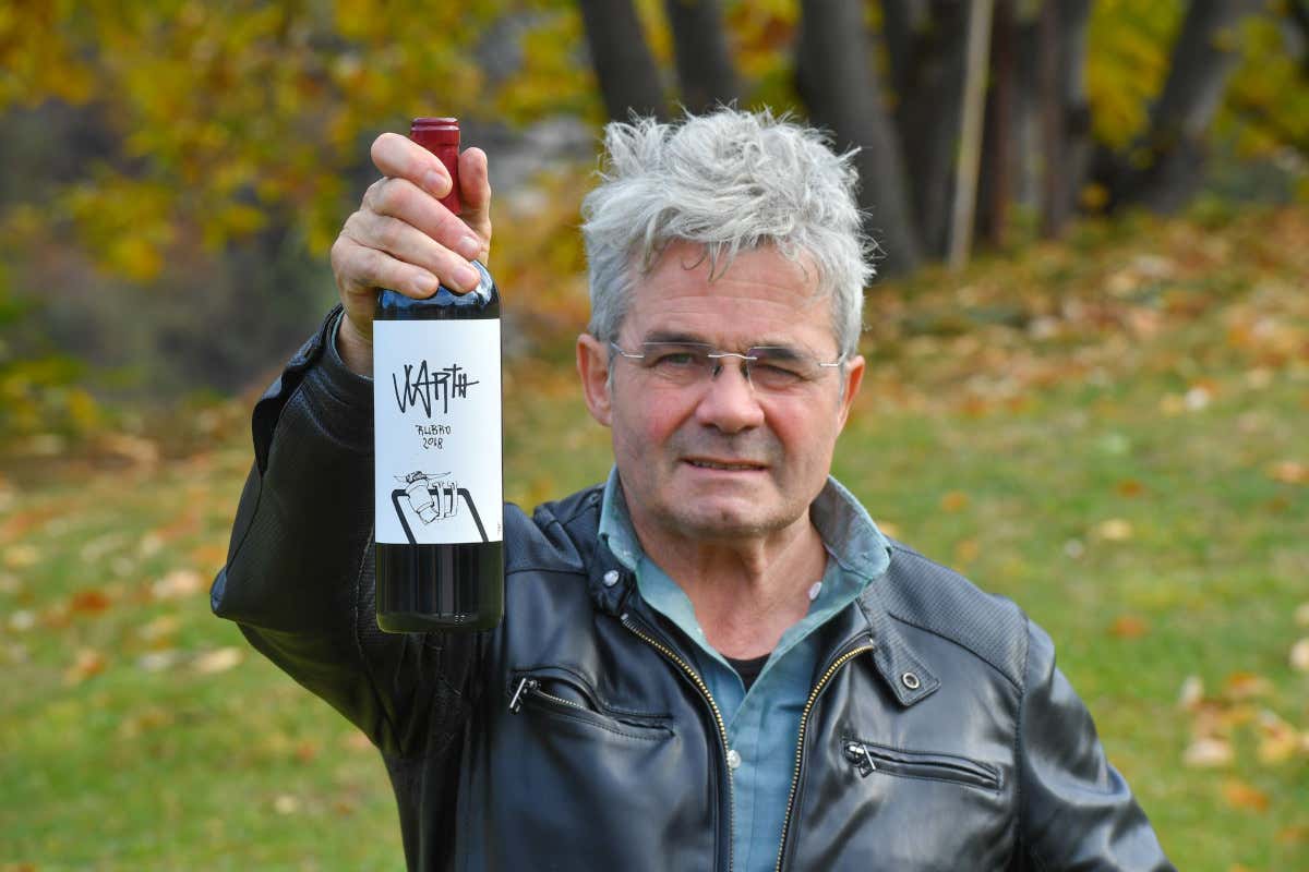 Vini Moser, un restyling a prova di campione