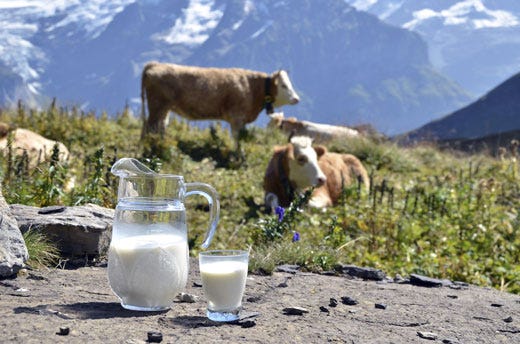 Latte, allevatori sottopagati in Spagna 
Industrie multate per 88 milioni di euro