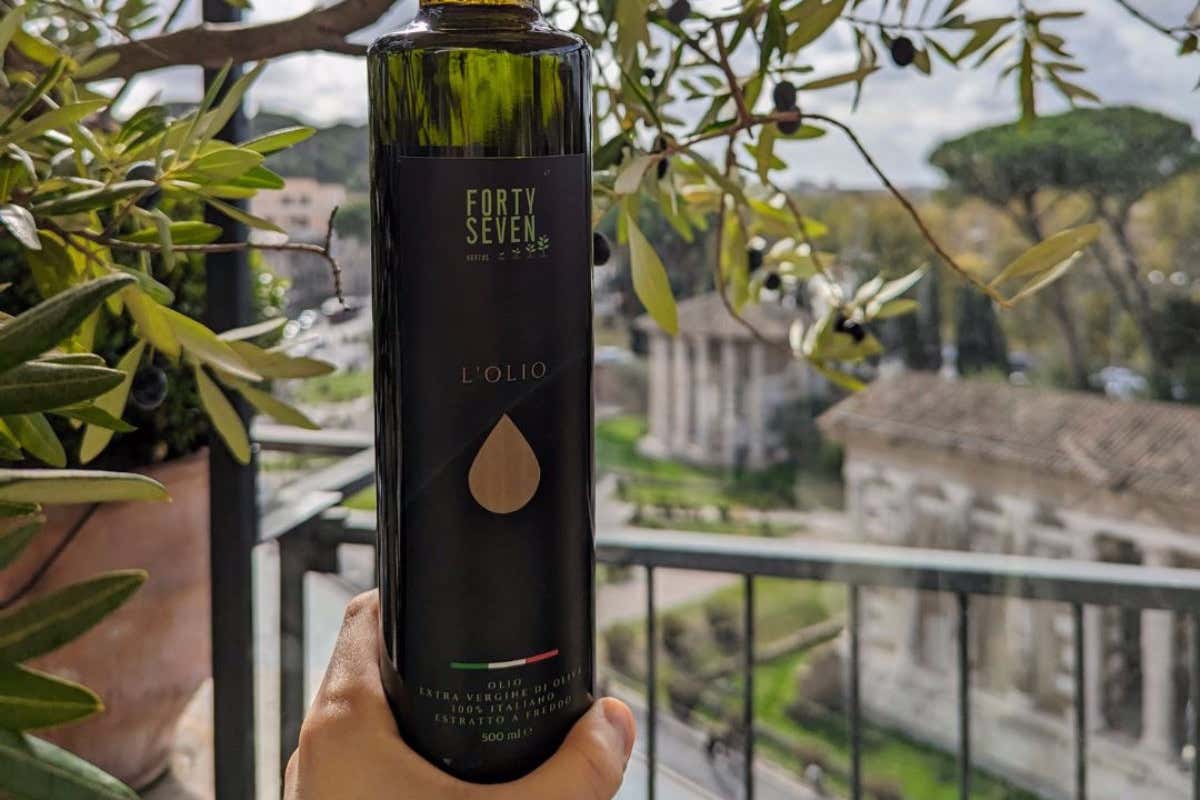 Alla scoperta del 47 Boutique Hotel, l'albergo più green della Capitale