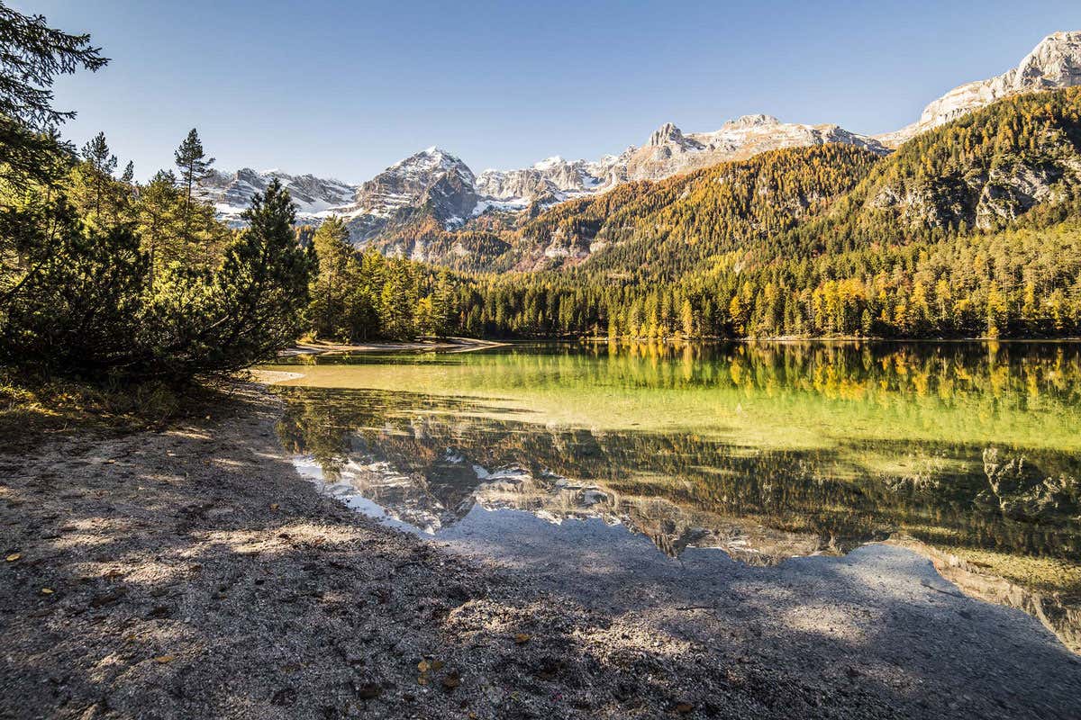 C’è una valle tra rovine ancestrali e silenzi inquieti, in cui la Mela Dop affascinò Sissi C’è una valle tra rovine ancestrali e silenzi inquieti, in cui la Mela Dop affascinò Sissi