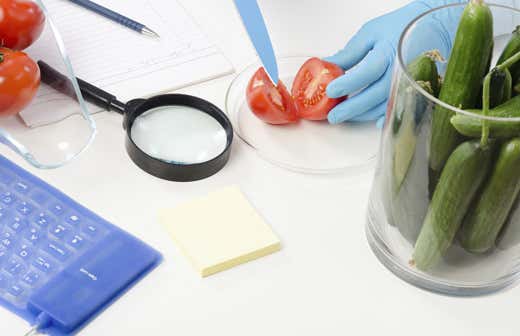 Dalla Carne Al Pesce Dallolio Al Vino In Italia Un