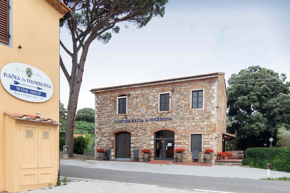 Badia di Morrona, vino e storia delle Terre di Pisa