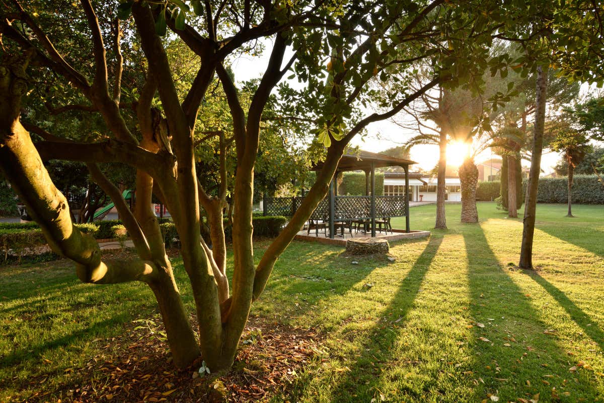 Primavera in Costa degli Etruschi? C'è l'offerta del Park Hotel Marinetta
