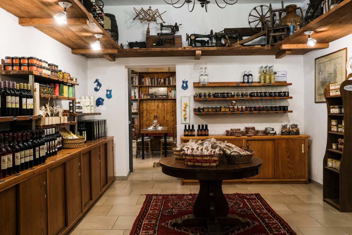 Dieci esperienze imperdibili sull’Isola d’Elba tra immersioni, balene e miniere