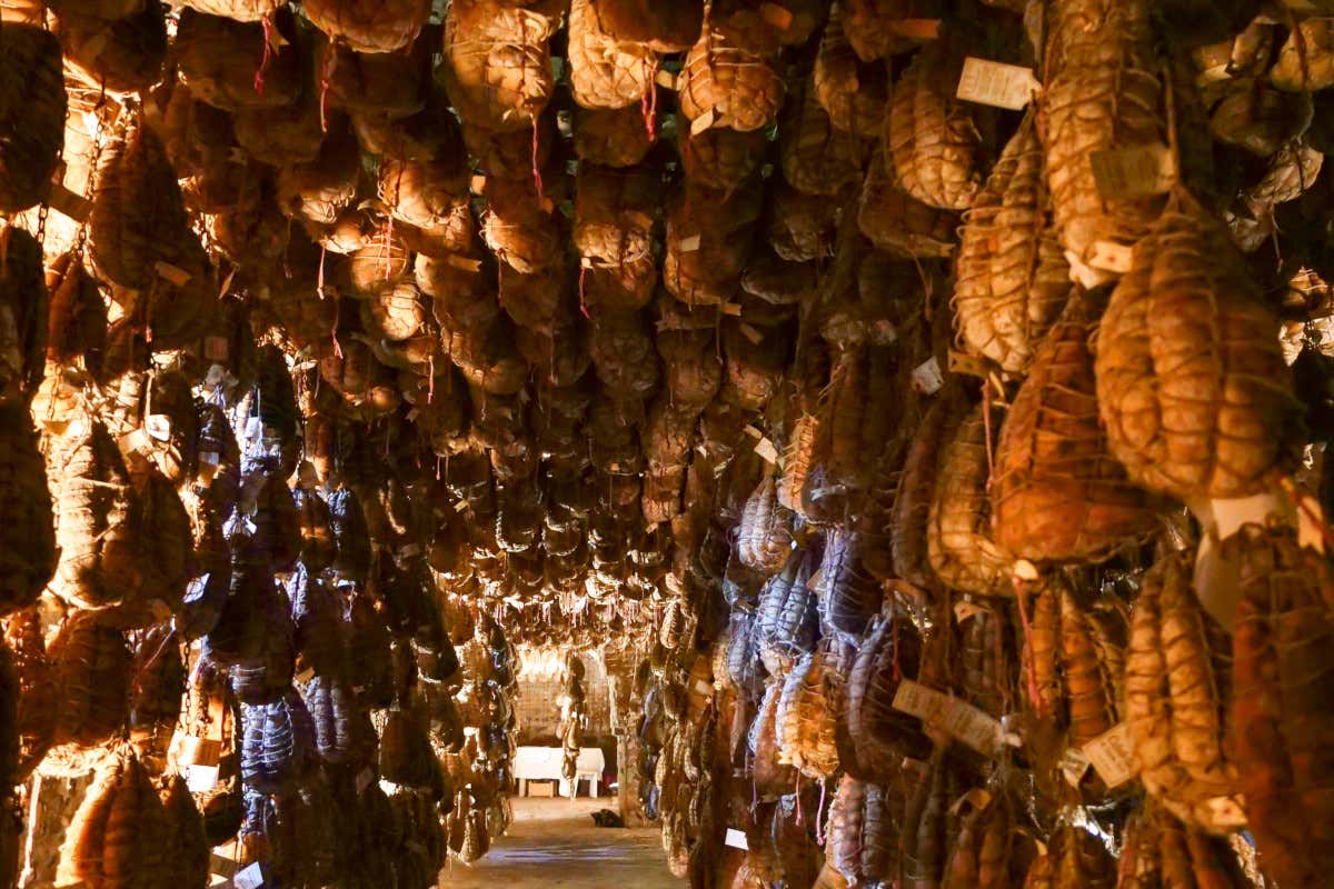 Una famiglia, il Culatello e un tocco di Verdi all'Antica Corte Pallavicina
