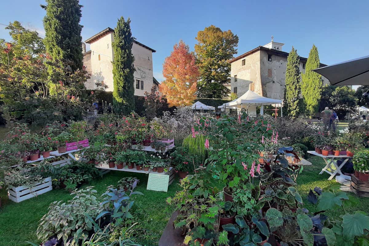 L'autunno da fiaba al Castello di Strassoldo di Sopra L'autunno da fiaba al Castello di Strassoldo di Sopra
