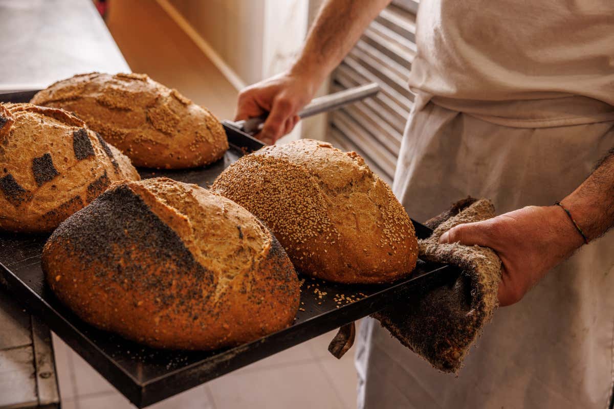 Dove provare l'autentico street food di Roma? A La Casa del supplì