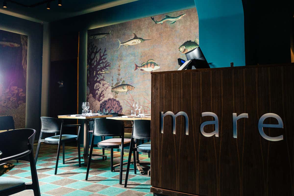 Ottima cucina di pesce a prezzi pop? Da Mare Bistrot a Fiumicino Ottima cucina di pesce a prezzi pop? Da Mare Bistrot a Fiumicino