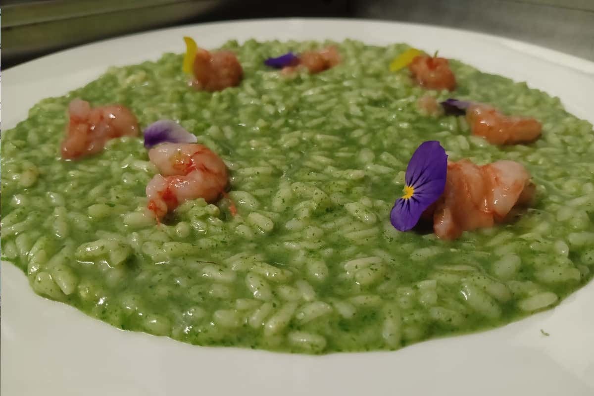 Sconfitta in tv, trionfo in sala: +50% di clienti dopo “4 Ristoranti”. Il caso Sconfitta in tv, trionfo in sala: +50% di clienti dopo “4 Ristoranti”. Il caso