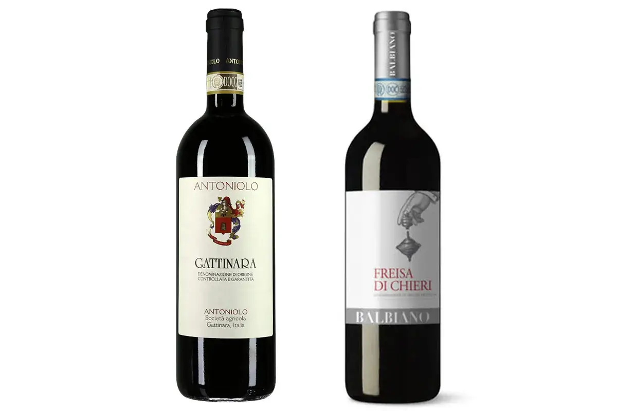 Gattinara Antonioli, Freisa di Chieri di Balbiano &nbsp;A spasso per Torino degustando solo etichette 2020