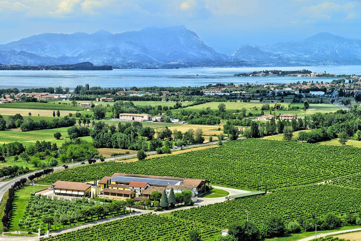 C&agrave; Maiol, storica tenuta situata nel cuore della Lugana, a Desenzano del Garda (Bs) C&agrave; Maiol: una nuova immagine per la storica cantina nel cuore della Lugana