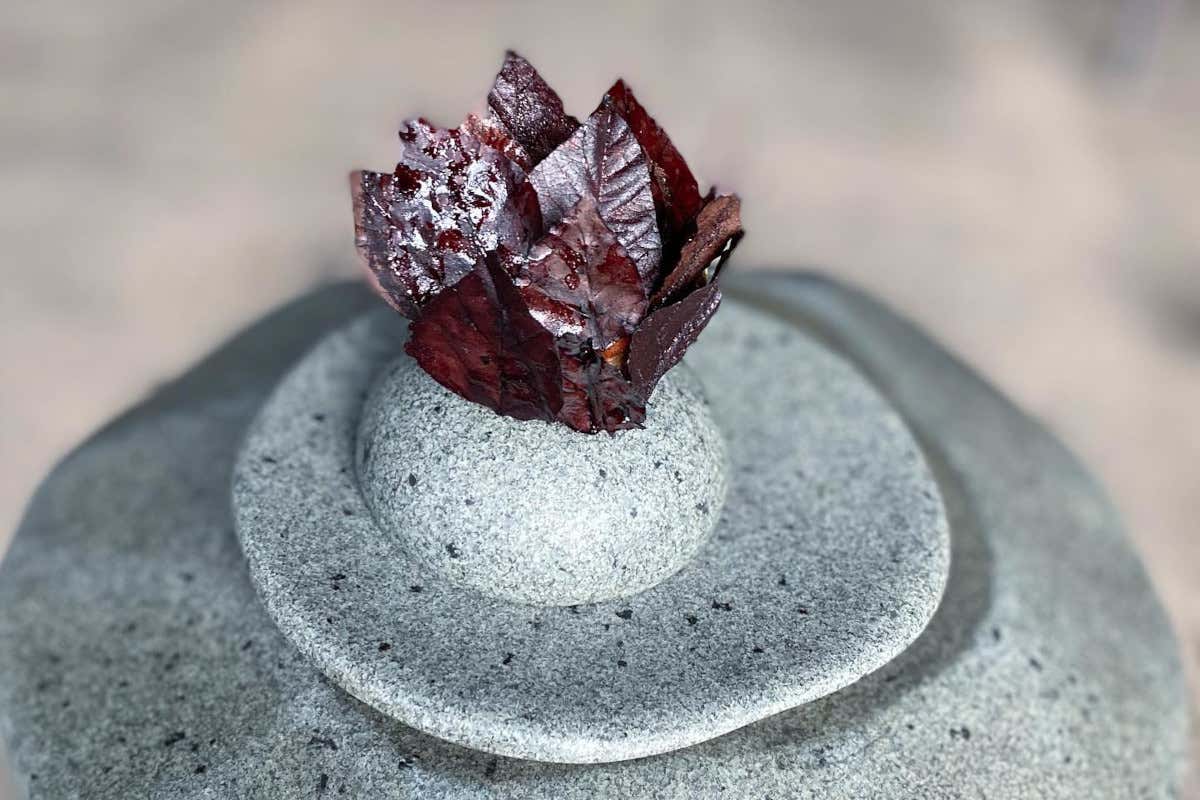 La cucina endemica di Rodolfo Guzmán, il cuoco cileno fra i più famosi al mondo