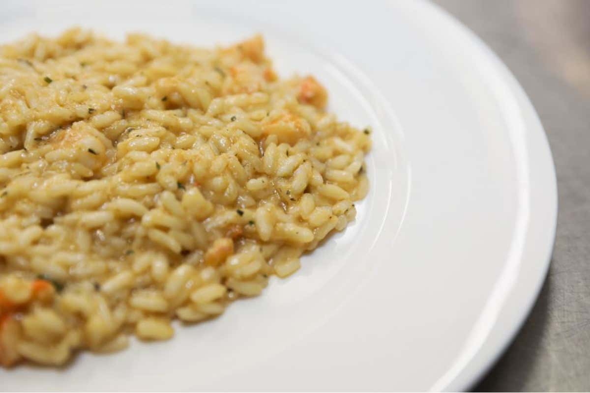 Lo chef Marco Bottega nuovo delegato del Lazio di Euro-Toques Italia