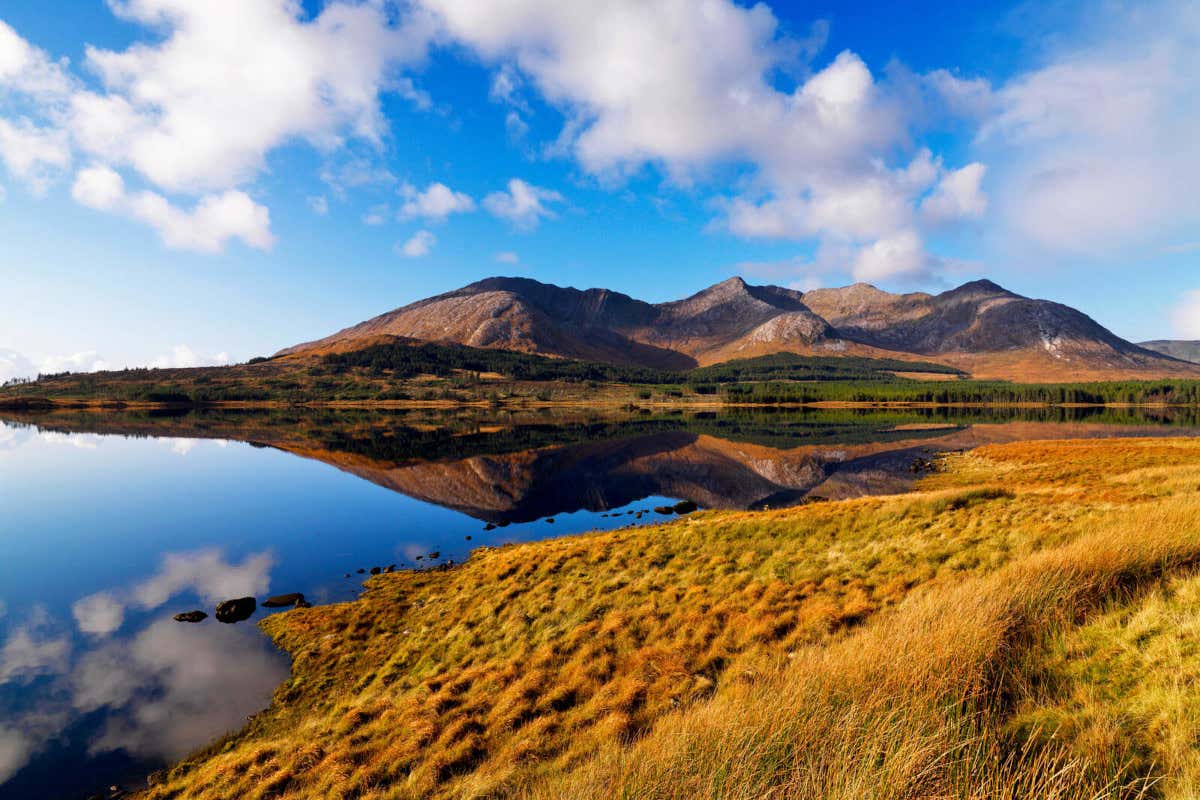 Alla scoperta di Galway con Nicola Coughlan, la Penelope di Bridgerton