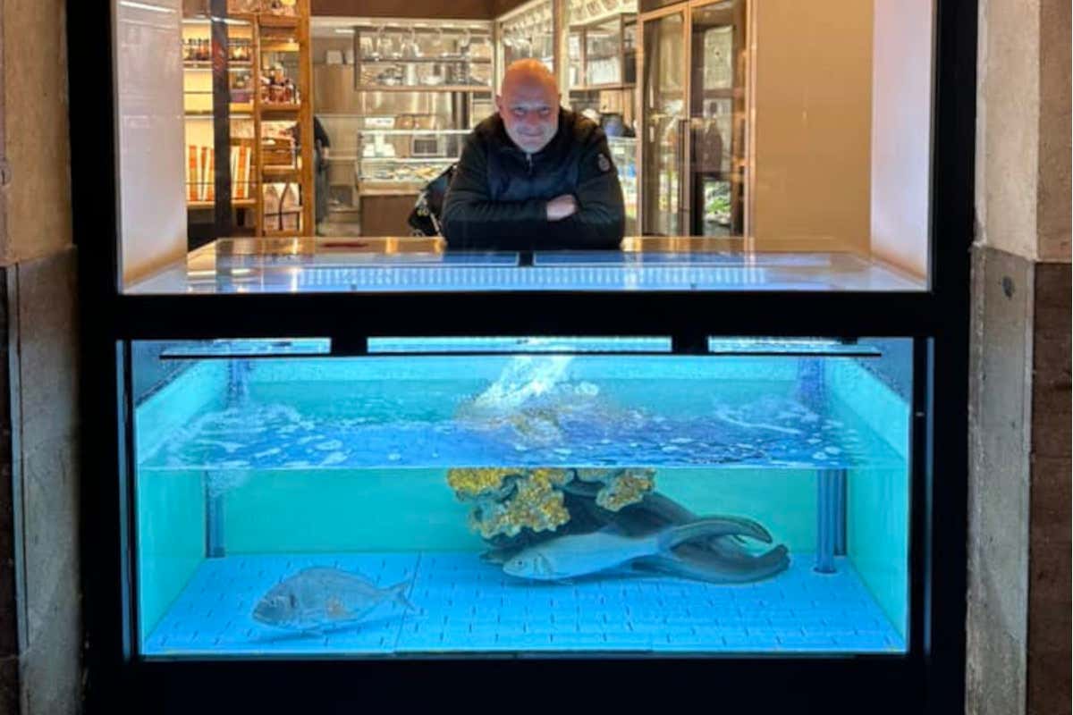 Metti una cena in pescheria… Succede da Adriatica a Padova