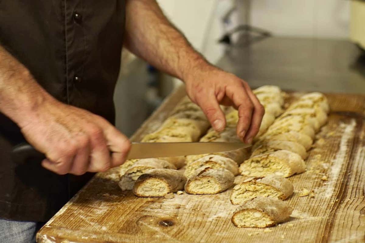 Non solo vino: Piombaia di Montalcino è anche agriturismo e ristorante