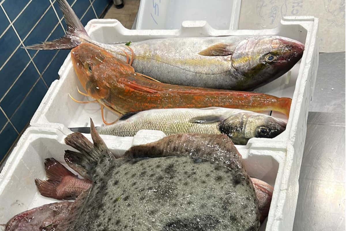 Tra pescato locale e gladiatori: cosa si mangia da Santupietro Restaurant