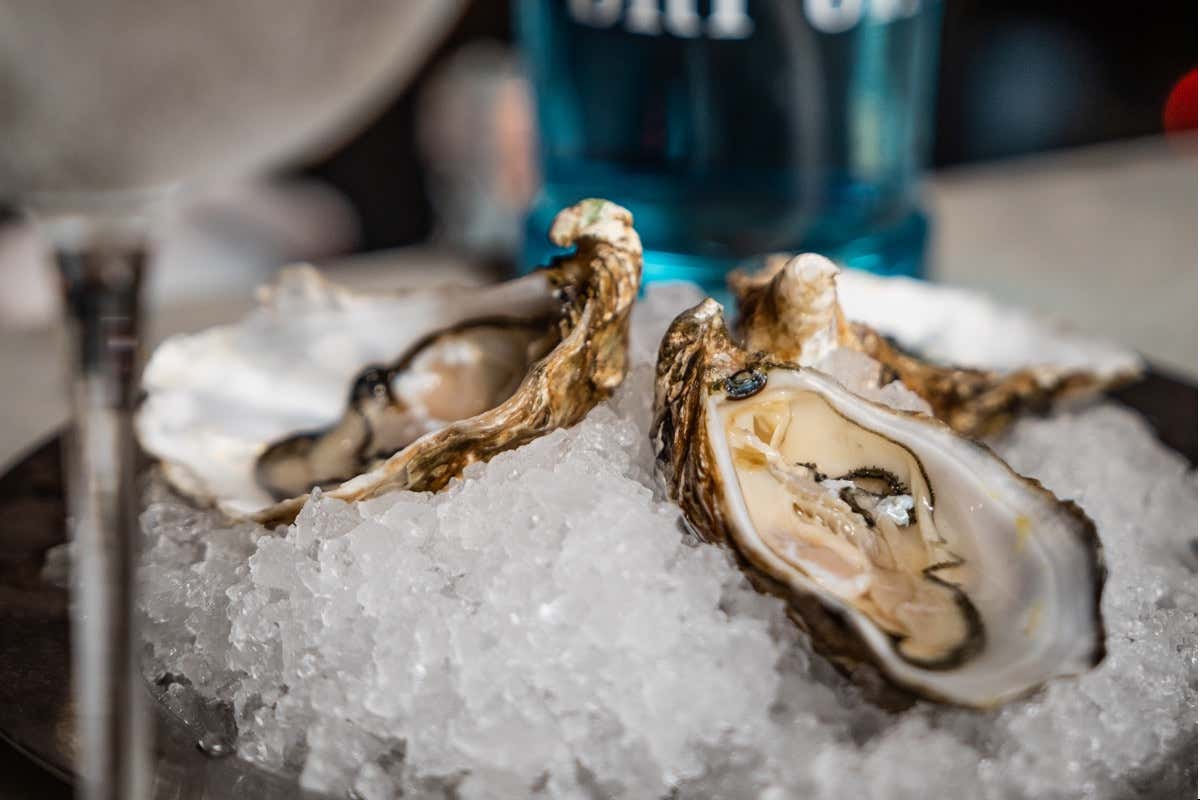 Ecco un ristorante di pesce da “Amare” nel cuore di Roma
