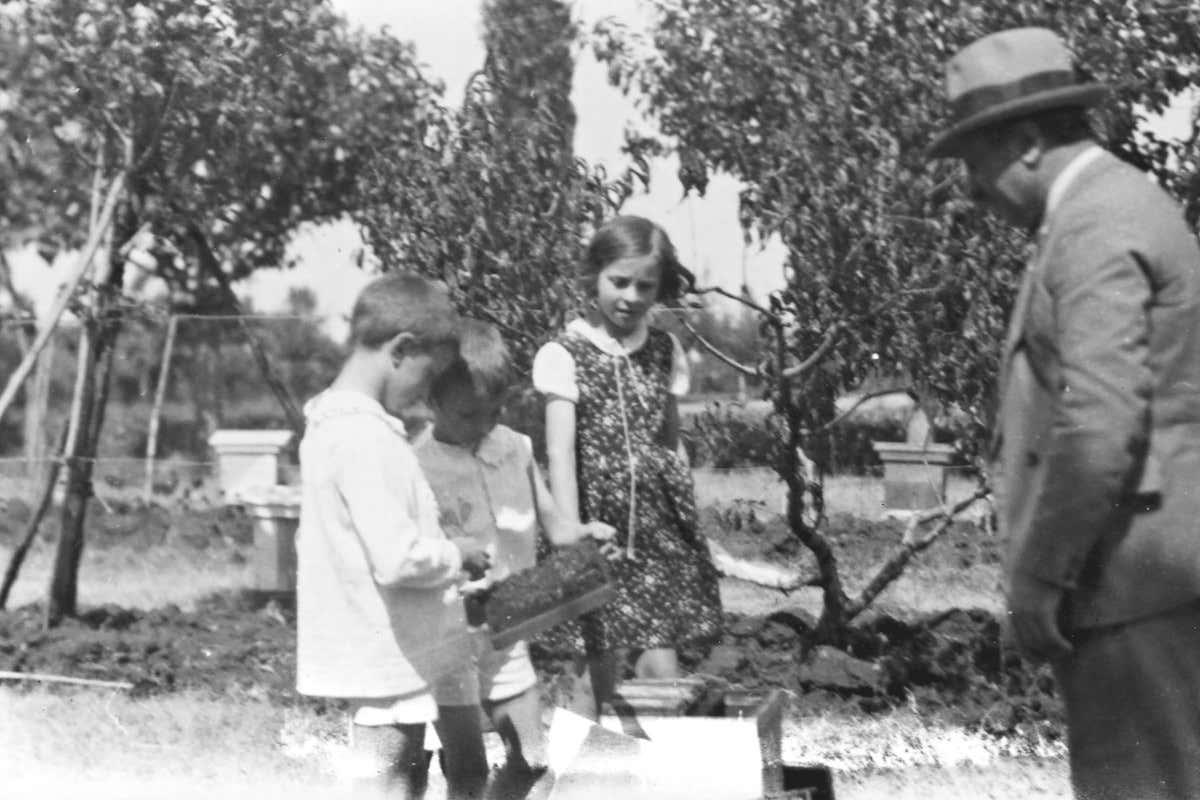 Apicoltura Piana: oltre un secolo di miele straordinario