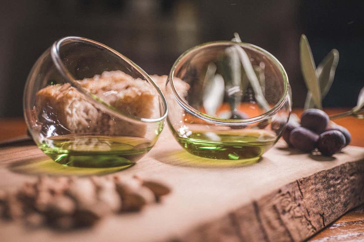 I sette frantoi del Garda trentino aprono le porte ai buongustai