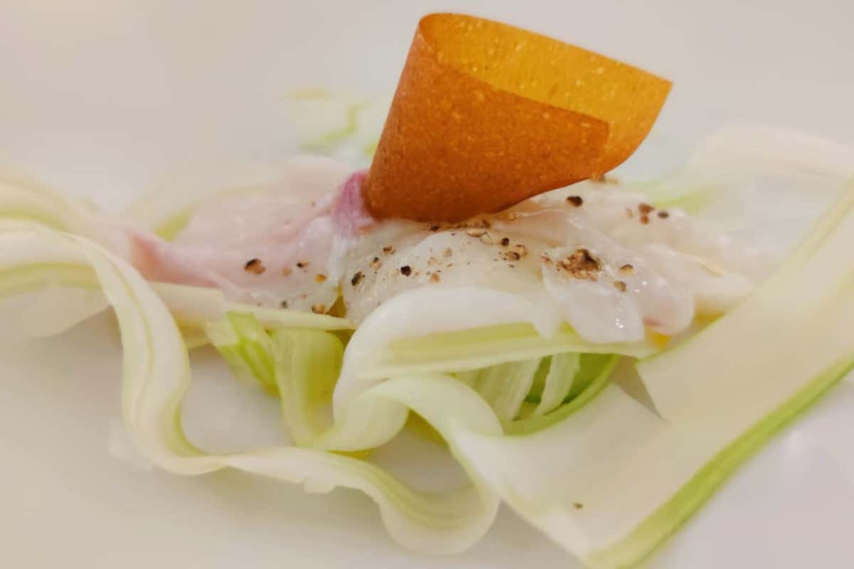 Il vino rosso con il pesce? La sfida vinta dal Lambrusco in Puglia