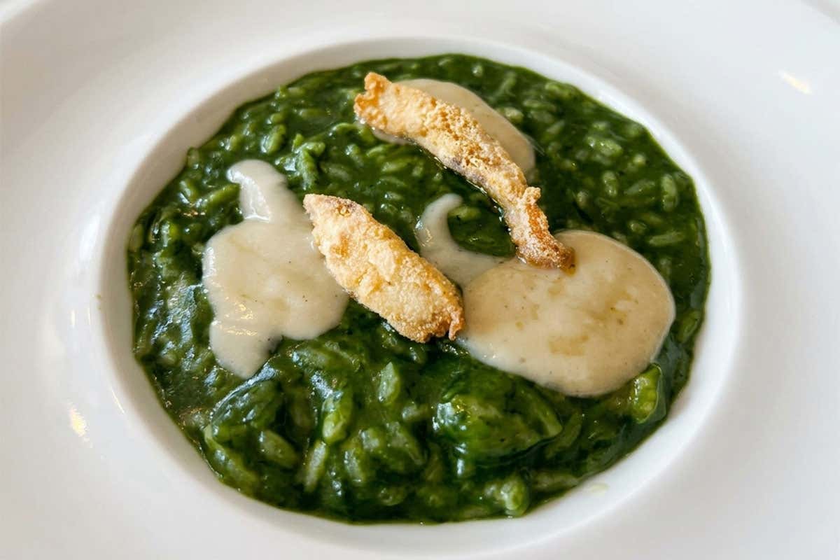 Risotto al pesce persico reale di lago - Osteria Il Pescatore