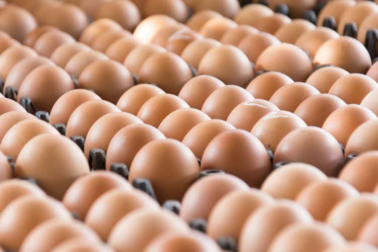 (Controlli per la sicurezza alimentare 62mila uova sequestrate in 4 province) (Controlli per la sicurezza alimentare 62mila uova sequestrate in 4 province)