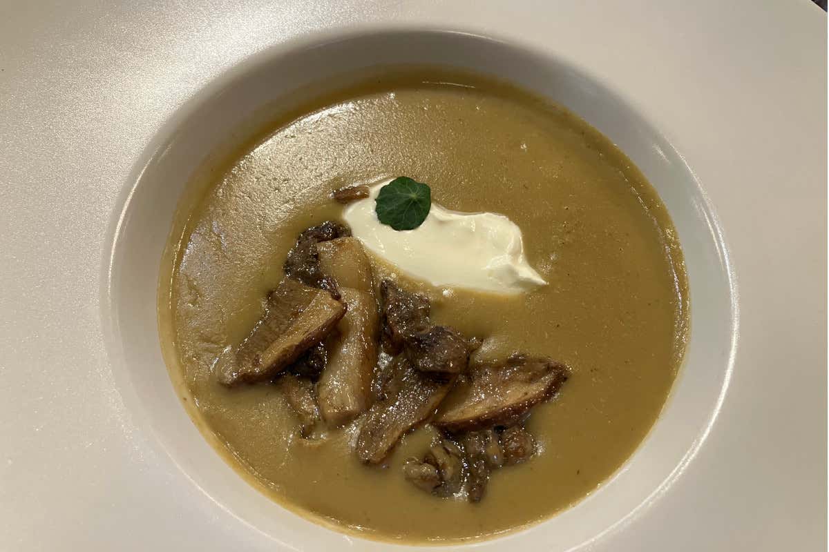 Com'è oggi, dopo 110 anni di attività, il Caffè San Marco di Trieste Com'è oggi, dopo 110 anni di attività, il Caffè San Marco di Trieste