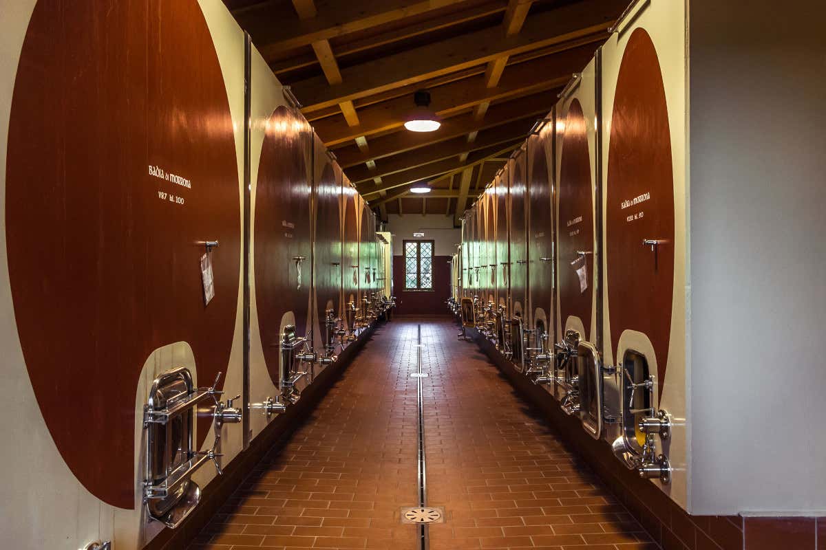 Badia di Morrona, vino e storia delle Terre di Pisa Badia di Morrona, vino e storia delle Terre di Pisa